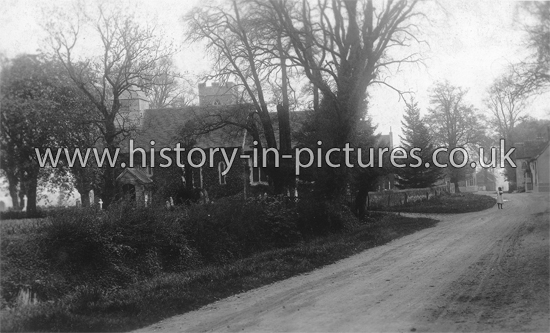 The Street and Two Church, Willingale, Essex. c.1905